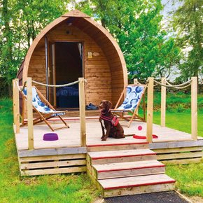glamping pod with dog